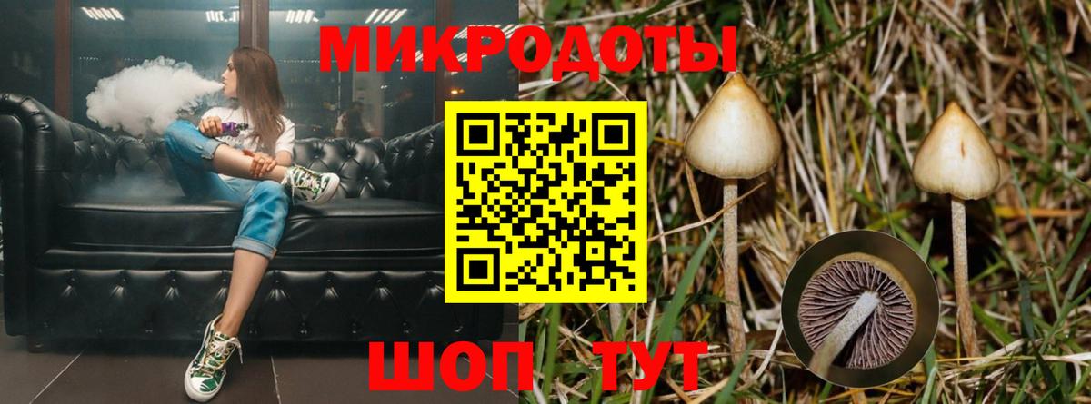 Галлюциногенные грибы Psilocybe  Вход с VPN  Тамбов 